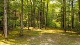 16862 Healy Lake - Photo 42