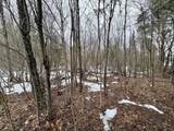 00 Cedar River - Photo 2