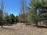 Lots D & E Torch Lake - Photo 7
