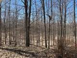 Lots B & C Torch Lake - Photo 6