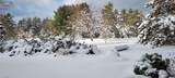 13158 Cinder - Photo 44