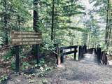 154 Hills - Photo 57