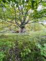 13845 70th - Photo 13