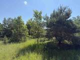 8819 Harlan - Photo 28