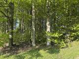 241 Three Mile - Photo 18