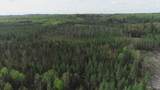 280 Acres County Road Ccn - Photo 2