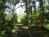 00 Firelane Trail - Photo 1