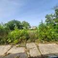26165 Outer - Photo 4