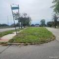 3300 Williams - Photo 1
