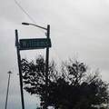 3300 Williams - Photo 2