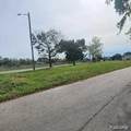 3300 Williams - Photo 3