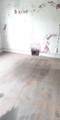 5700 Townsend - Photo 7