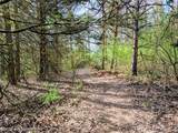 980 Oxbow Lake - Photo 6