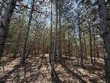 13158 Cinder - Photo 7