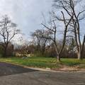 15401 Hazelton - Photo 1