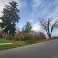 19719 Vaughan - Photo 2