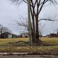 1830 Grand - Photo 4