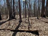 111 Acres Vac Knights Bridge - Photo 25