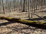111 Acres Vac Knights Bridge - Photo 31
