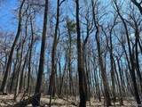 111 Acres Vac Knights Bridge - Photo 42