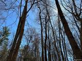 111 Acres Vac Knights Bridge - Photo 5