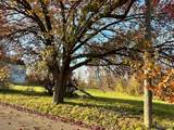 3967 17TH - Photo 3