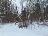 000 Birchwood - Photo 5