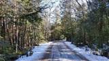 37 Acres Cathead Bay - Photo 13