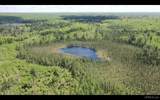 527 Usfs Rd 2130 - Photo 10