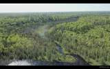 527 Usfs Rd 2130 - Photo 5