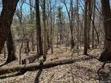 111 Acres Vac Knights Bridge - Photo 49