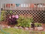167 Mill - Photo 16