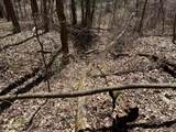 111 Acres Vac Knights Bridge - Photo 51