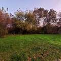 10294 Carriage - Photo 4