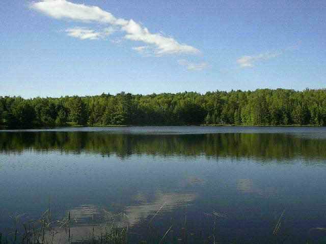 Lot E and Lot F Estes Lake Rd - Photo 1