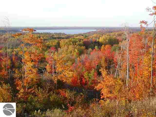 0000 Saddle Ridge Drive - Photo 1
