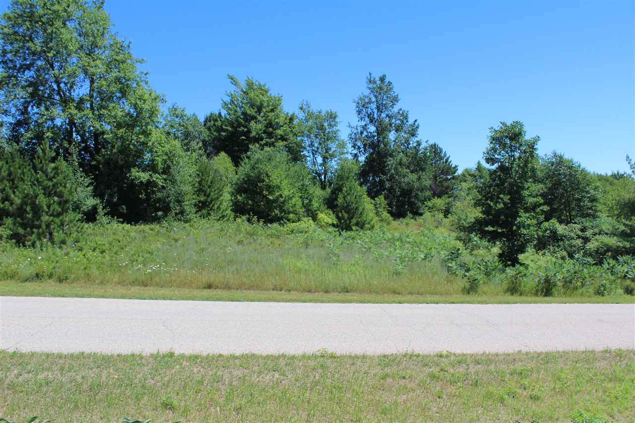 Lot 136 Lamplighter Lane - Photo 1