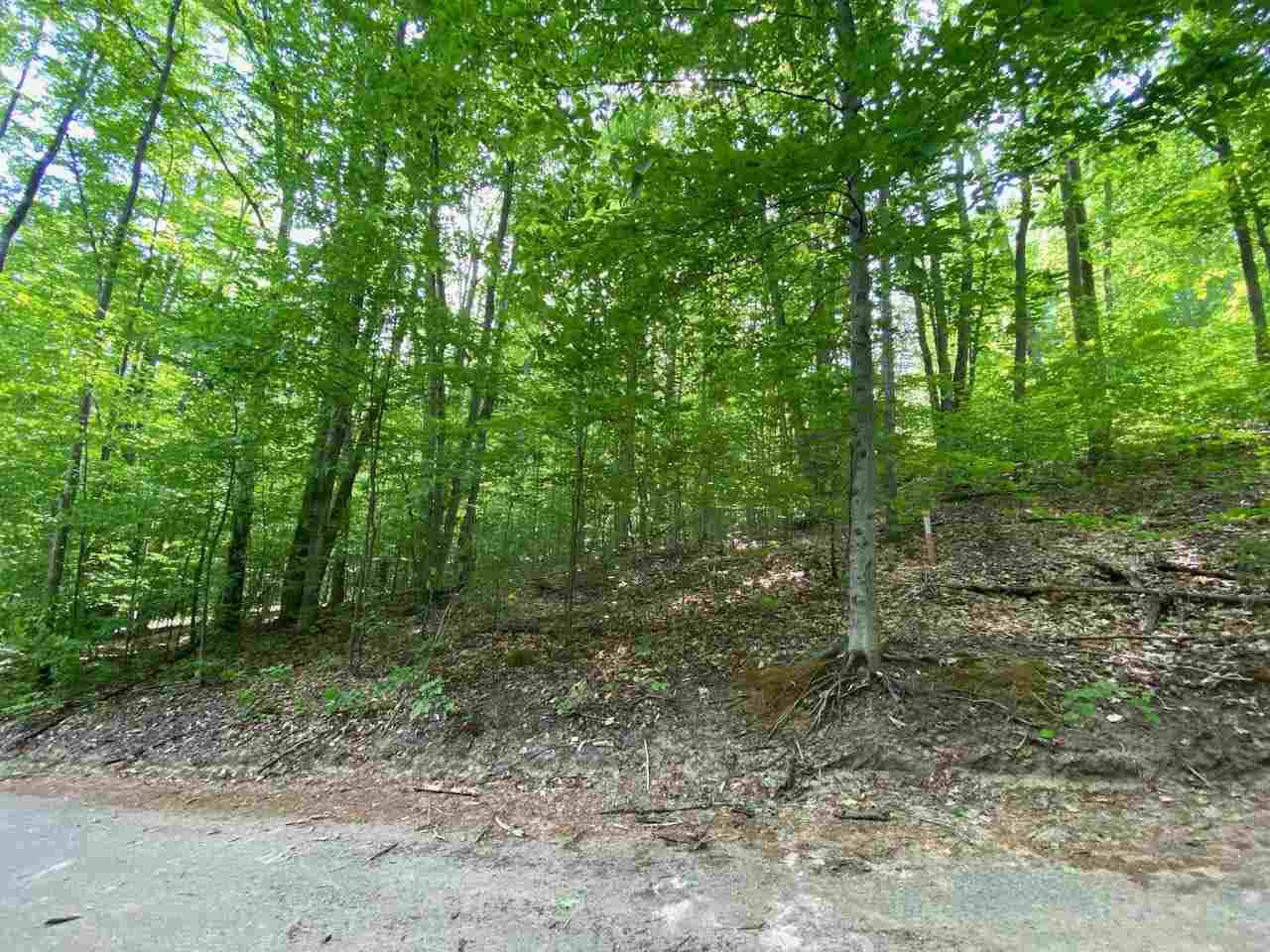 Unit 5 Schuss Mountain Drive - Photo 1