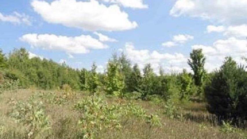 0 M-66, North - Photo 1