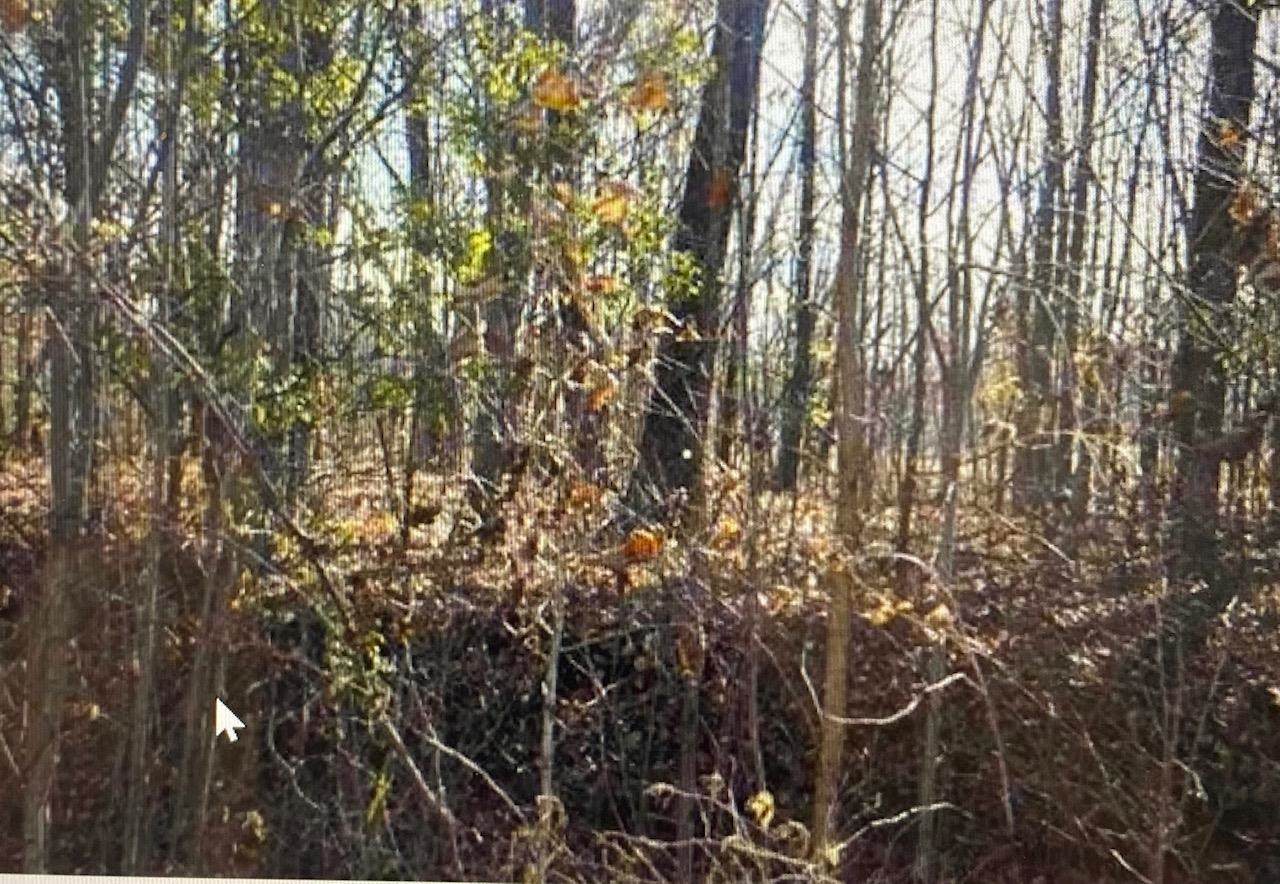 TBD Chippewa Trail - Photo 1