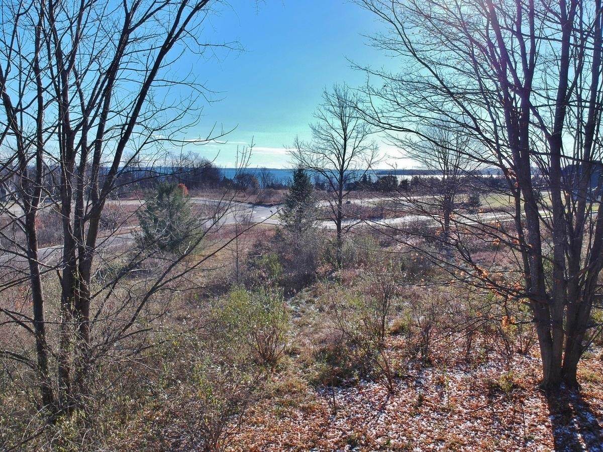 2155 Belanger Creek Drive - Photo 1