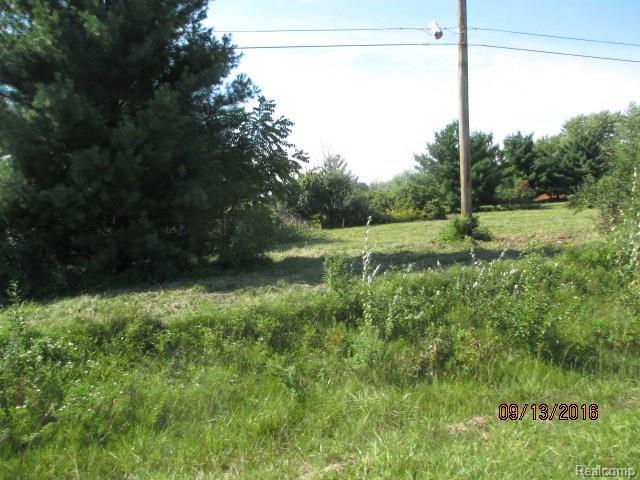 8216 Vassar Rd - Photo 1