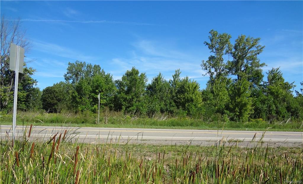 0 Ecorse Rd - Photo 1