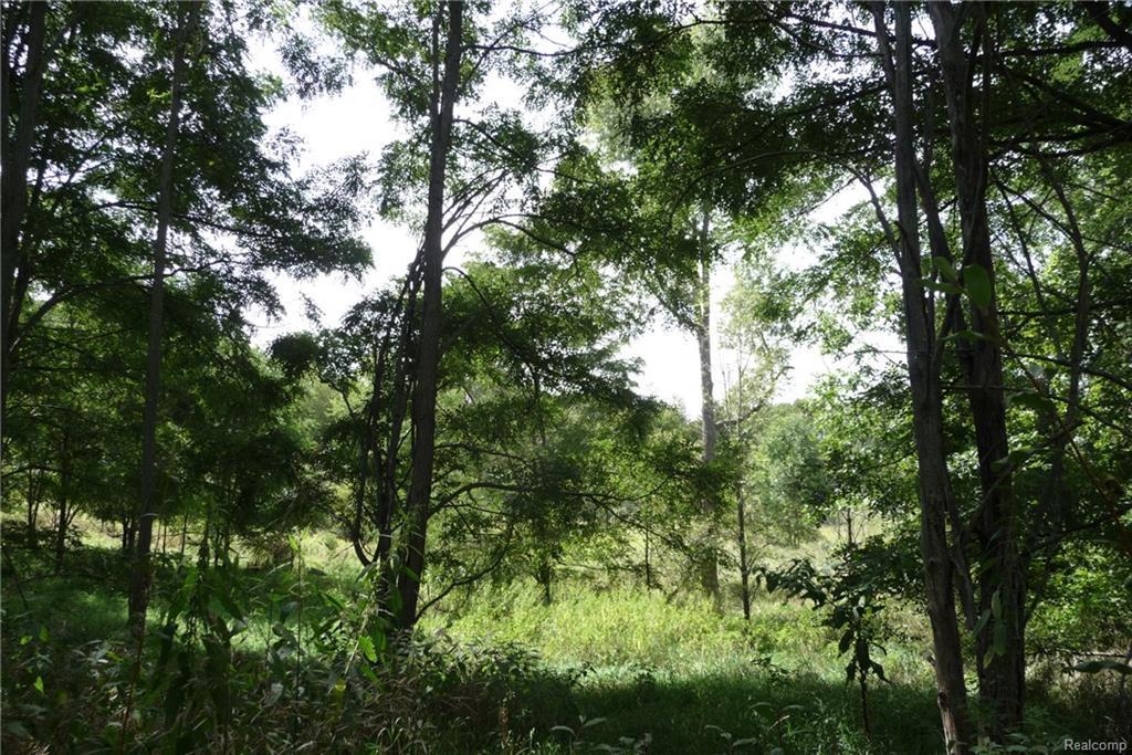 0 Indian Camp Trl - Photo 1