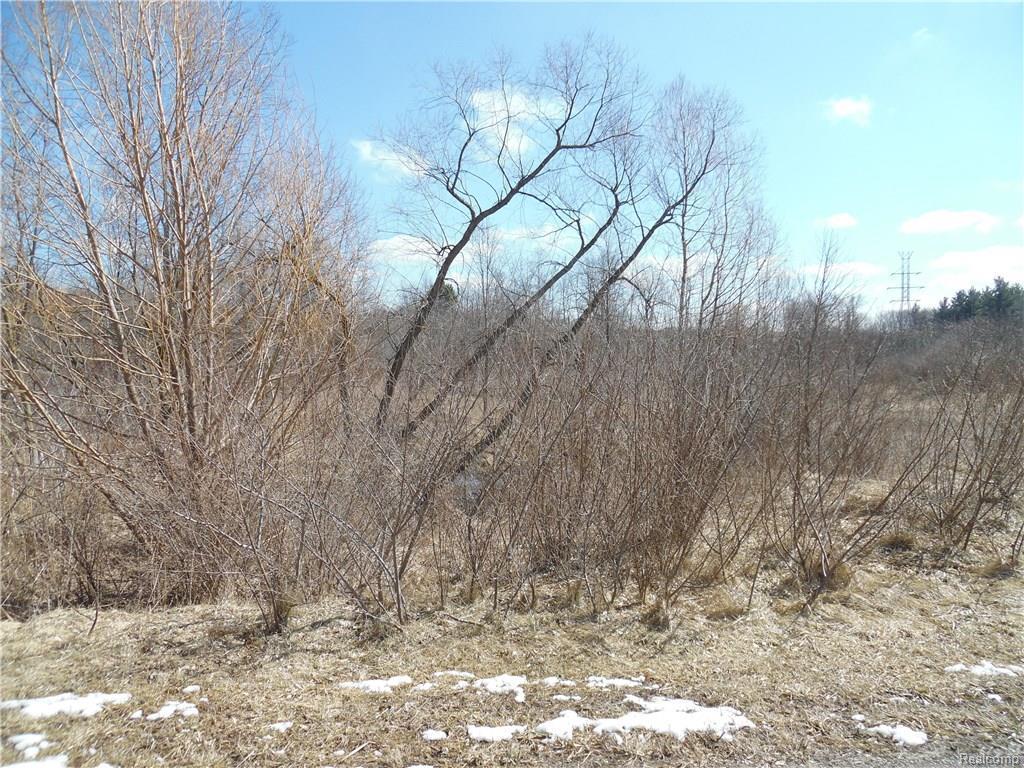 Silver Hill Rd - Photo 1
