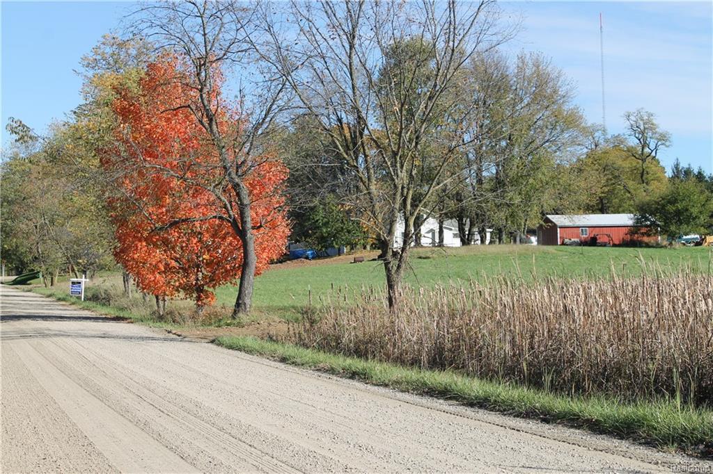 11374 Green Rd - Photo 1