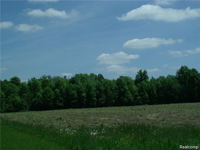 Fowlerville - Photo 1