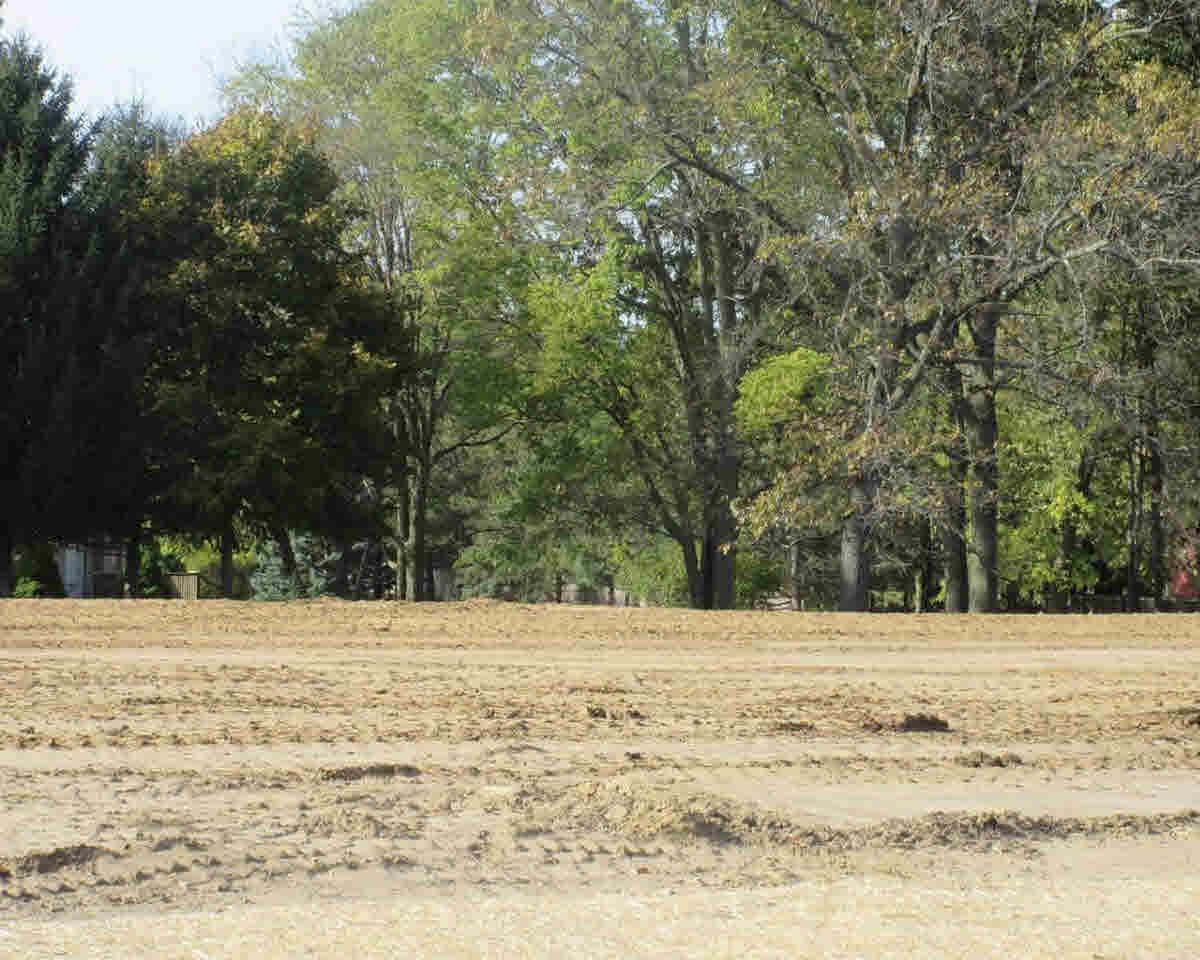 9108 Charter Oak Ln - Photo 1
