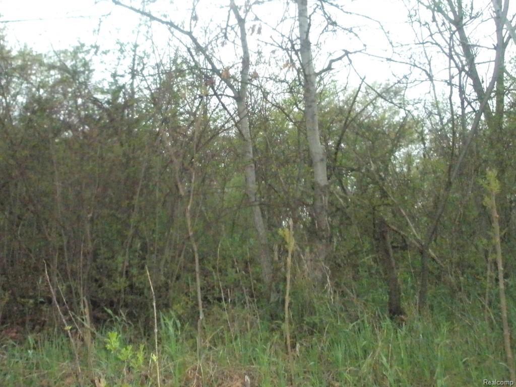 Andersonville - Photo 1