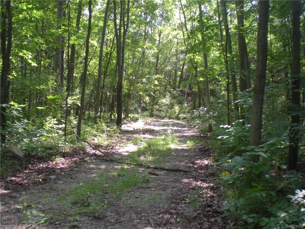 Sutton Rd - Photo 1